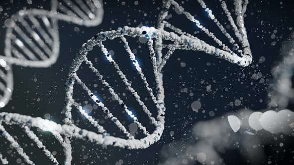 is eczema hereditary