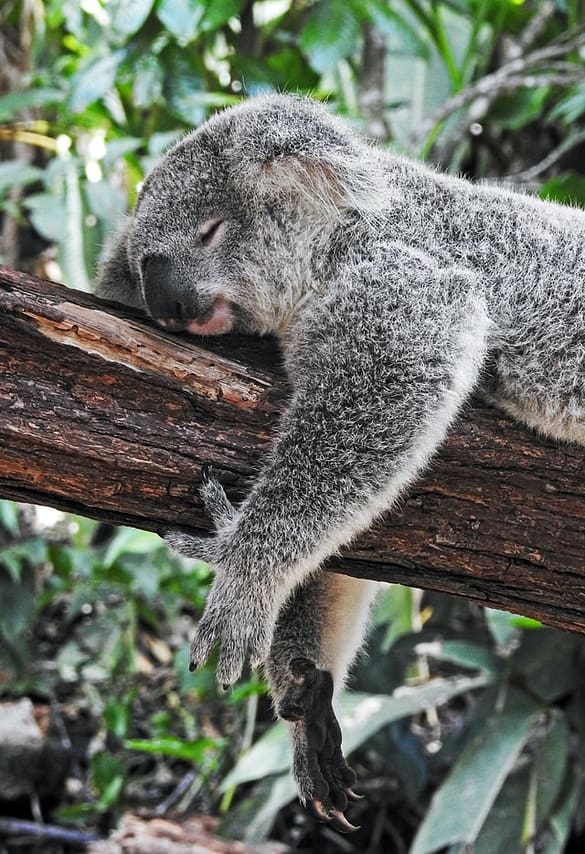 can stress cause eczema